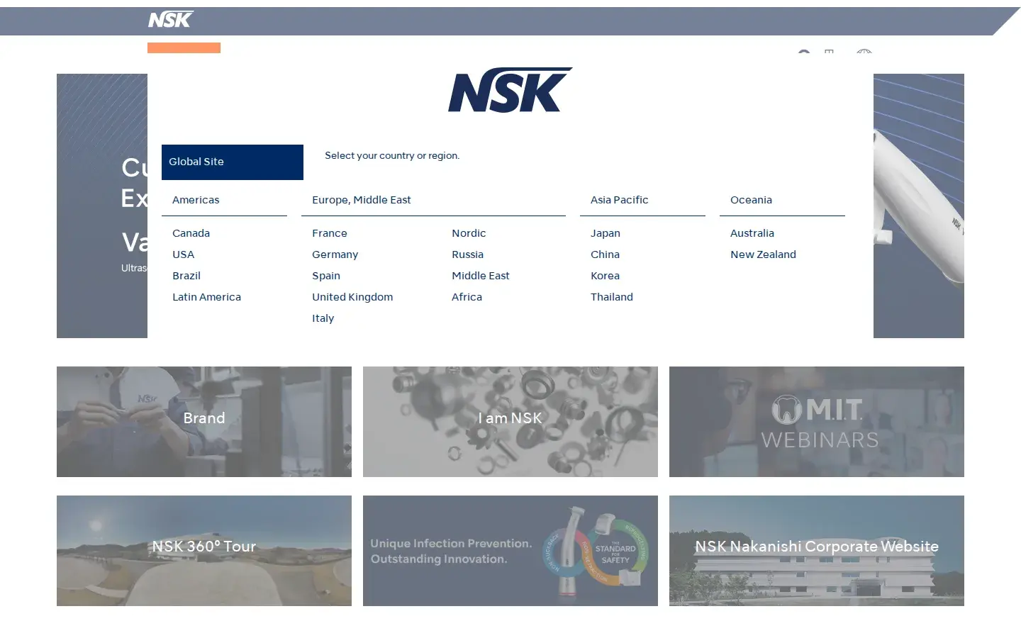 Homepage preview of NSK