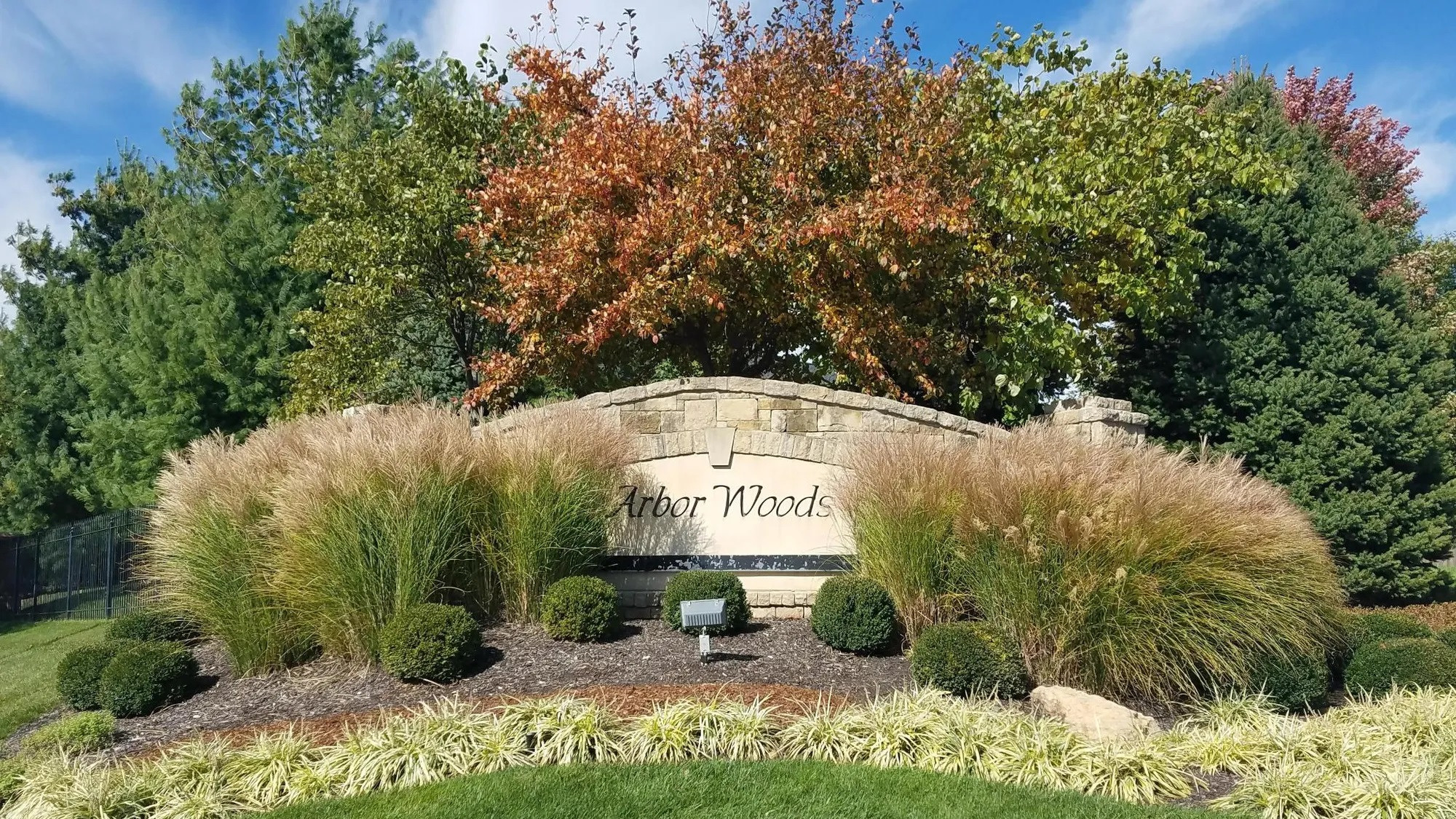 Top 5 Orthodontists in Olathe KS
