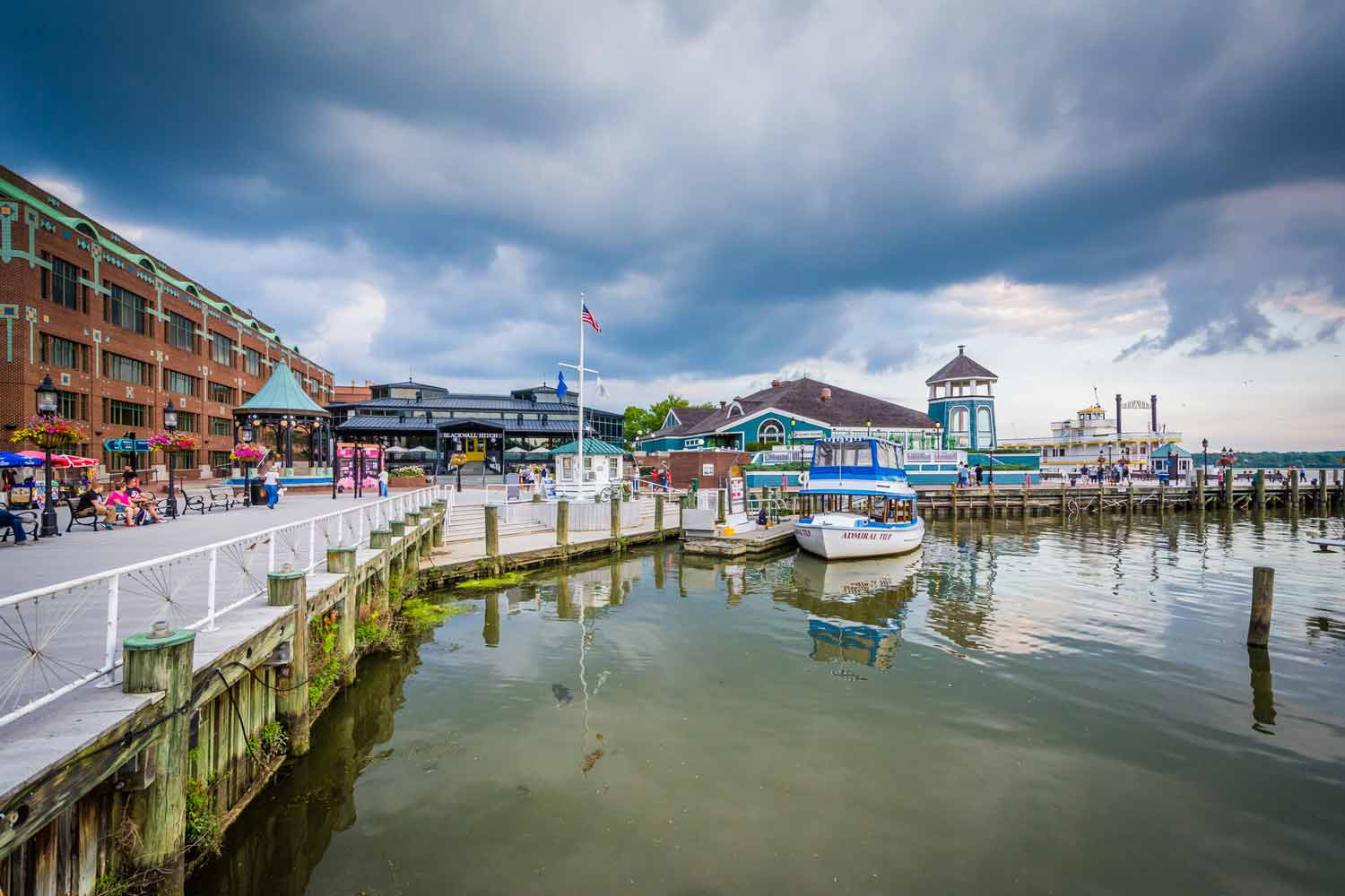 Top 5 Dentists in Alexandria VA