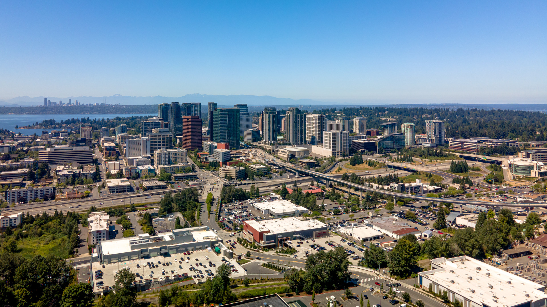 Top 5 Oral Surgeons in Bellevue WA