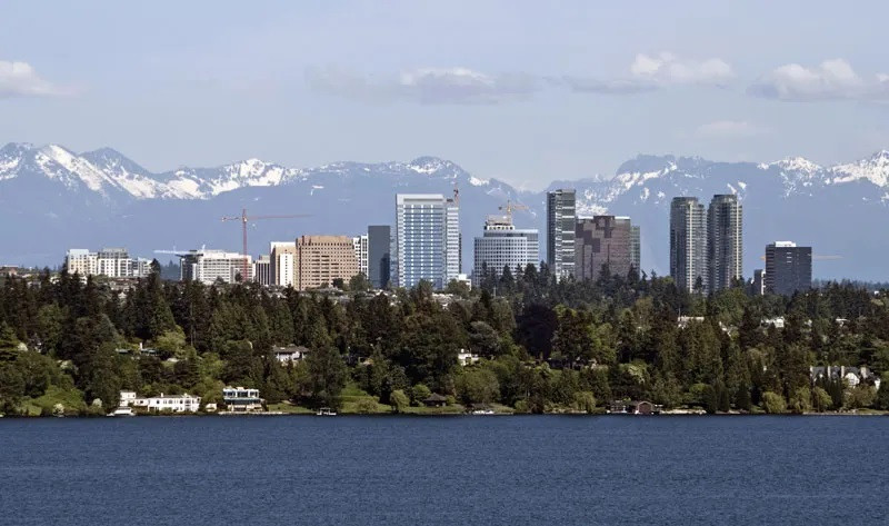 Top 5 Pediatric Dentists in Bellevue WA