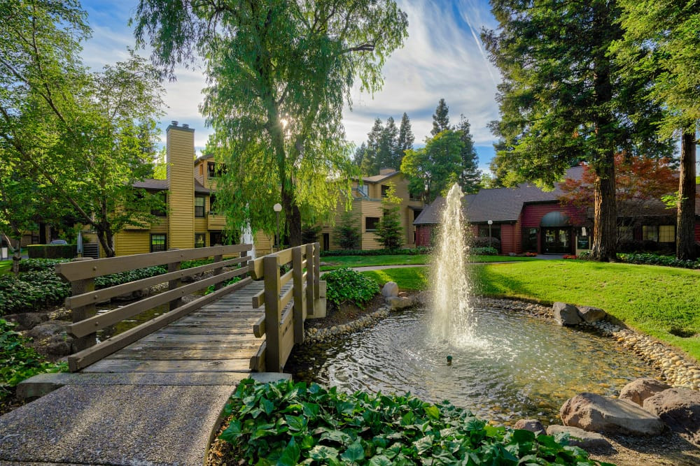 Top 5 Dentists in Santa Rosa CA