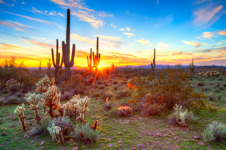 Top 5 Endodontists in Peoria AZ