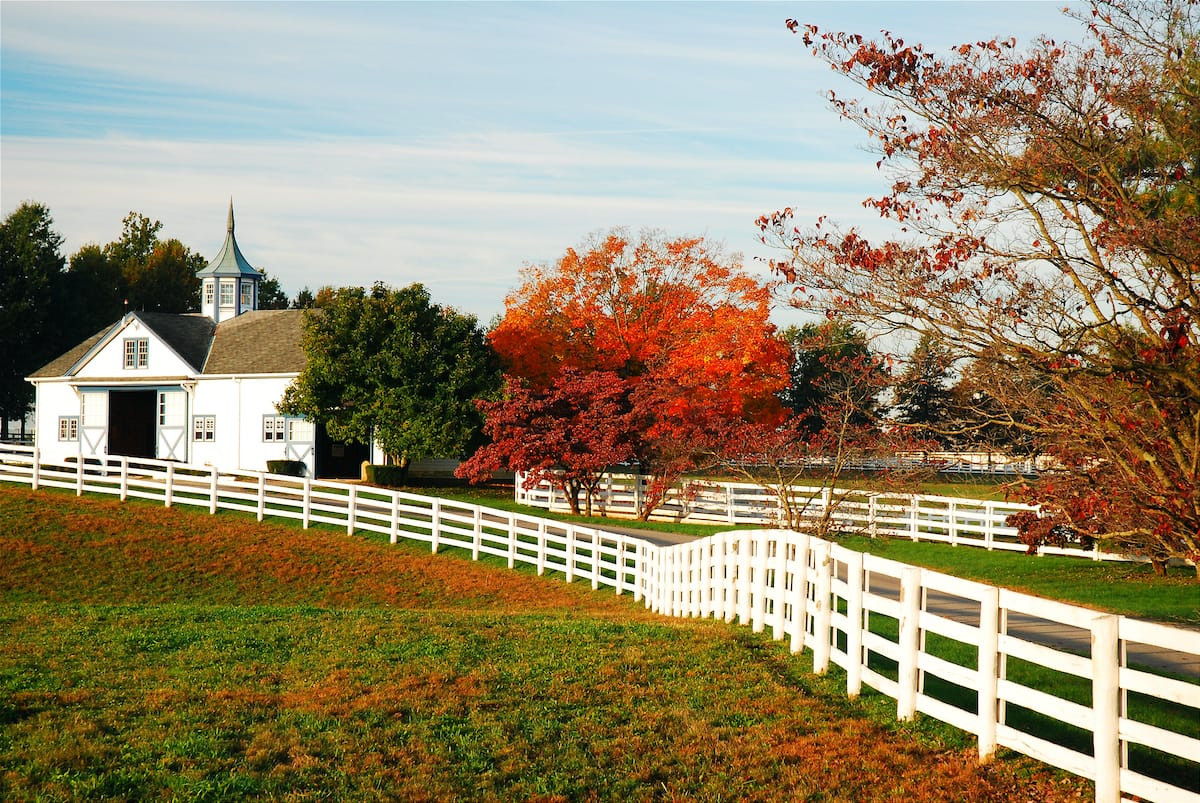 Top 5 Dentists in Lexington KY