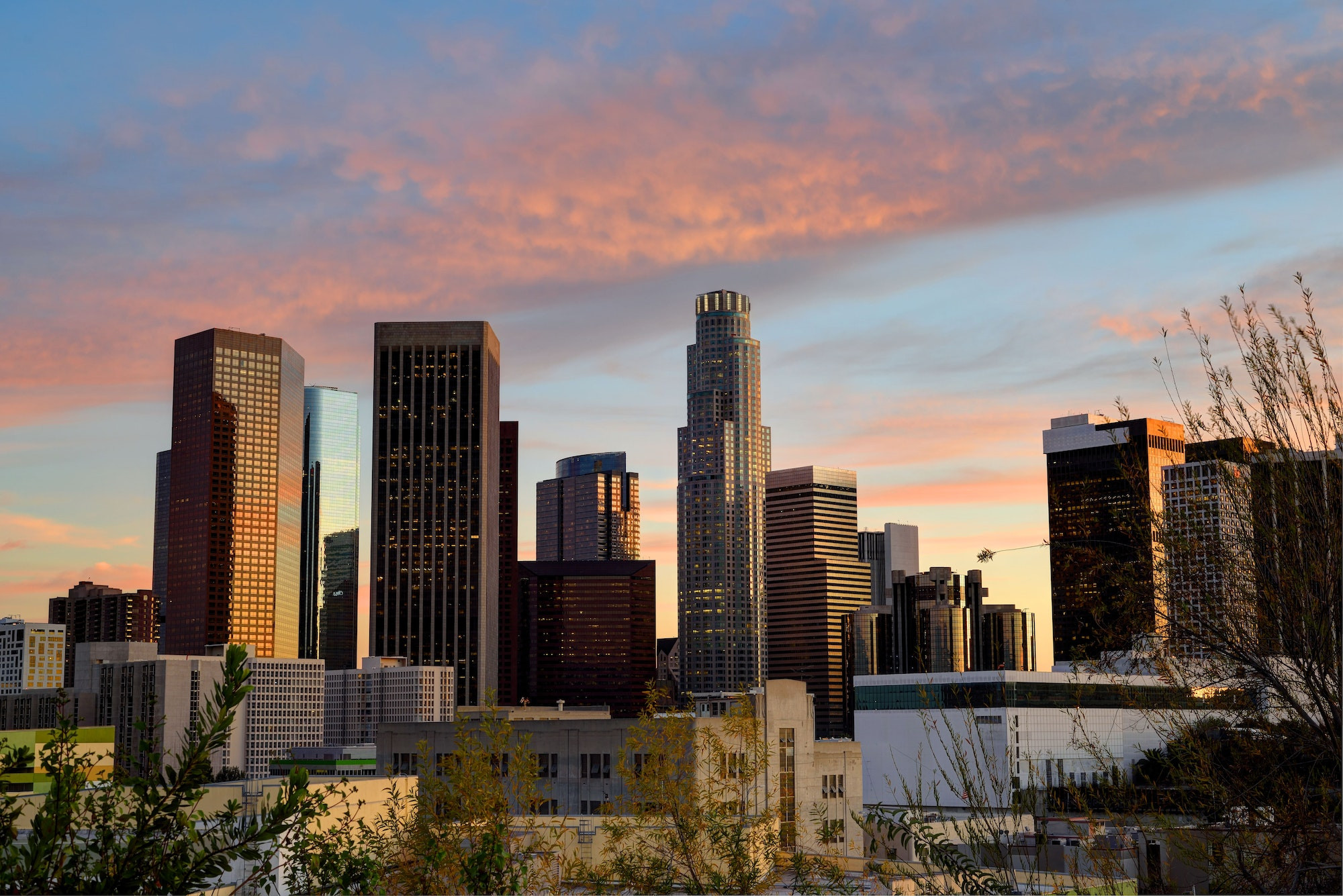 Top 5 Endodontists in Los Angeles CA