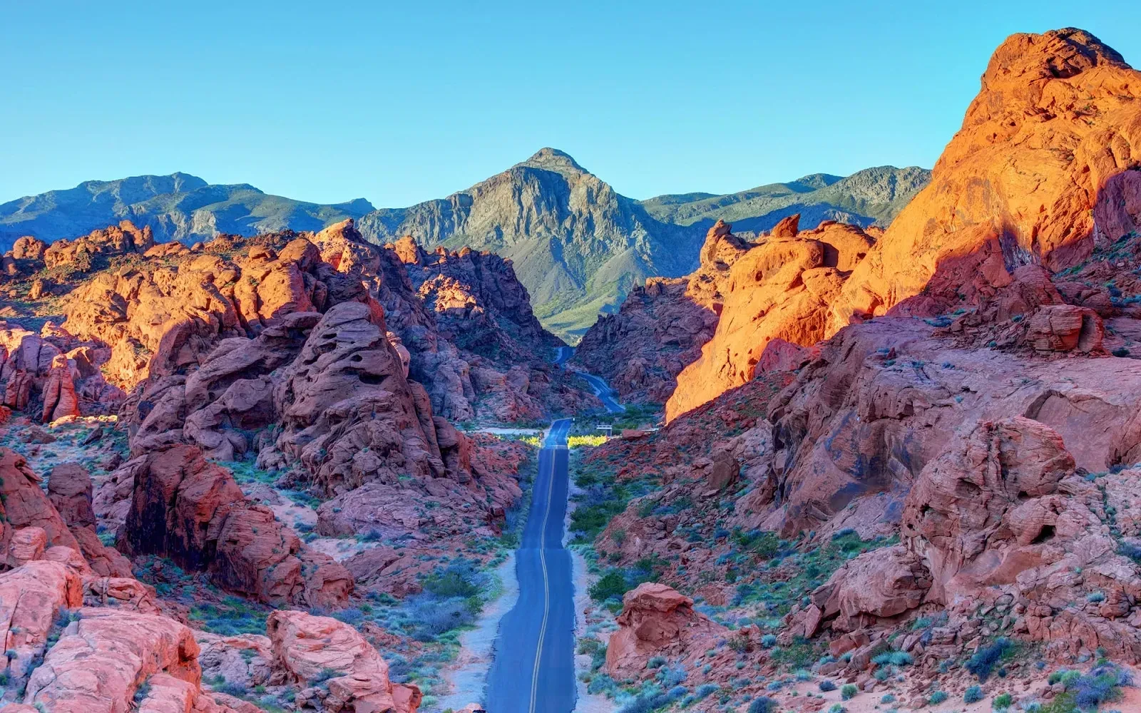 Top 5 Dental Labs in Nevada