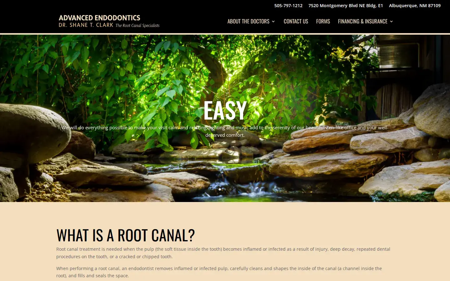 Homepage preview of Advanced Endodontics