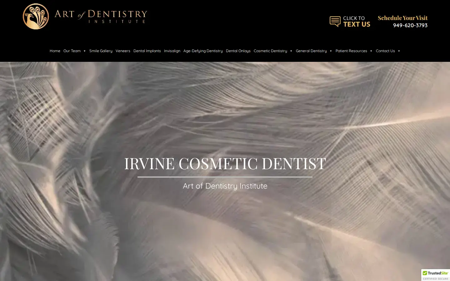 Homepage preview of Art of Dentistry Institute