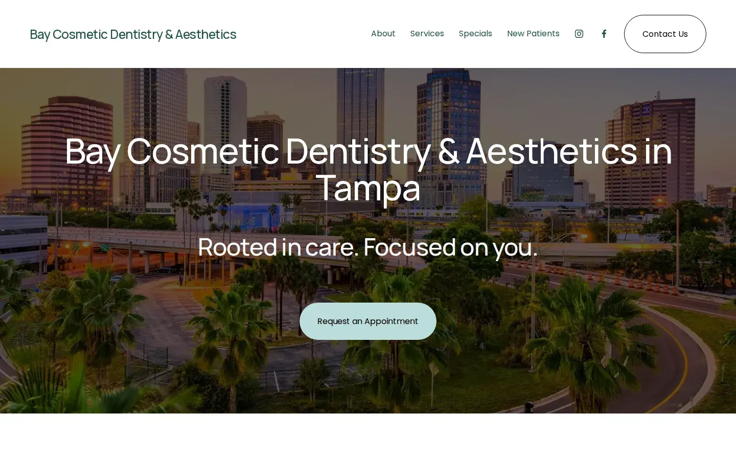 Homepage preview of Bay Cosmetic Dentistry