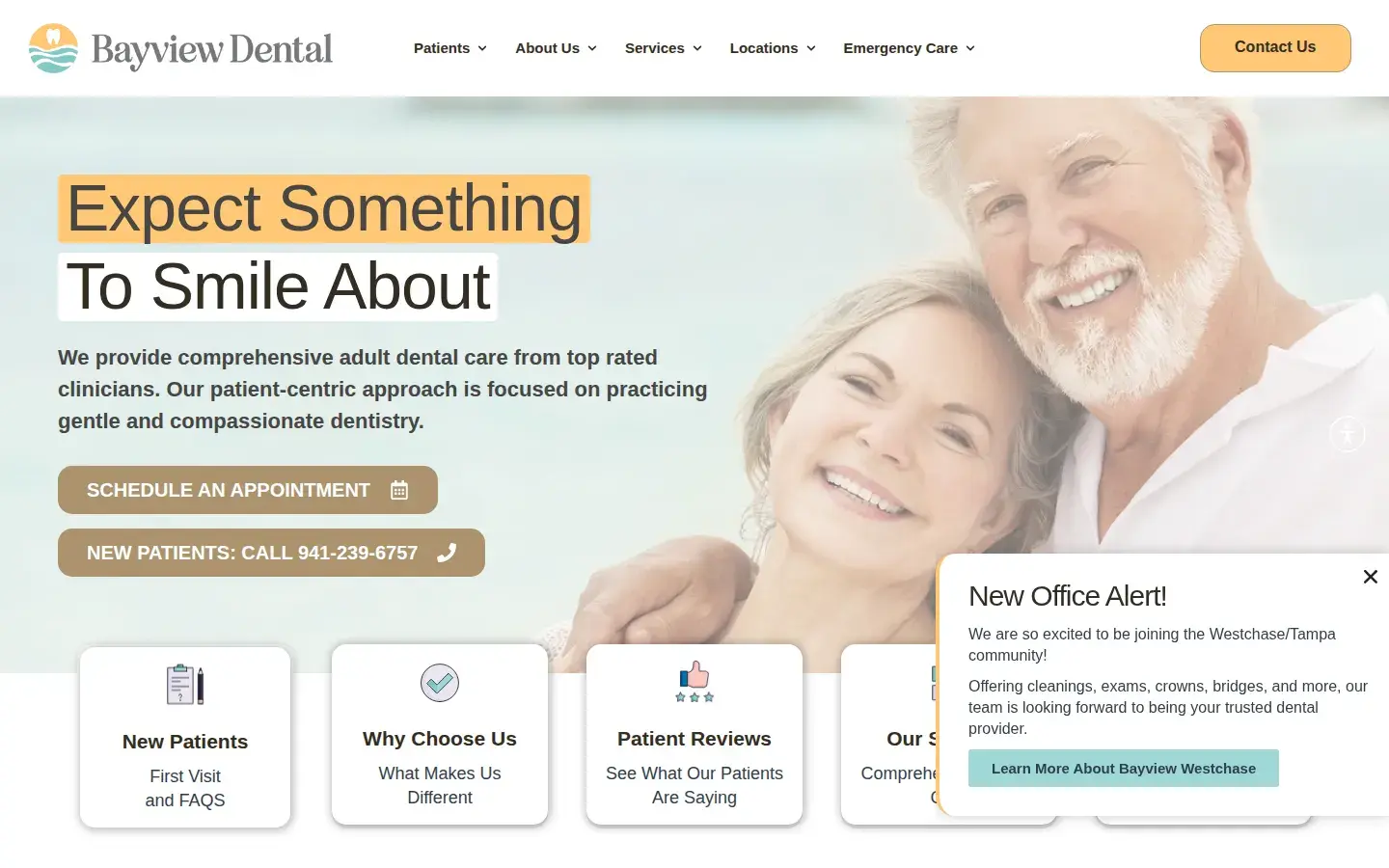 Homepage preview of BayView Dental Associates