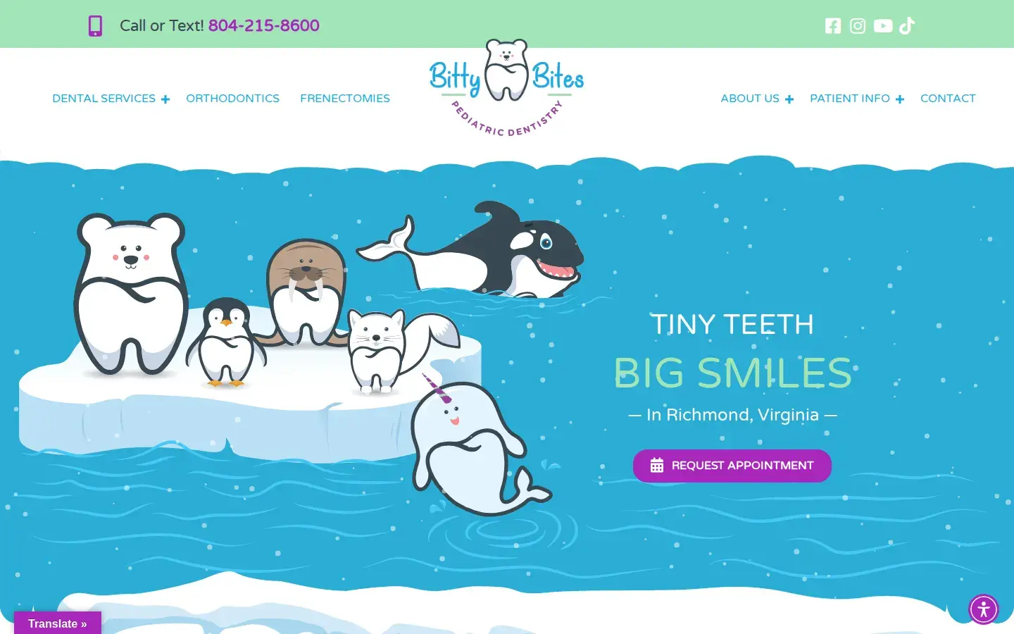 Homepage preview of Bitty Bites Pediatric Dentistry