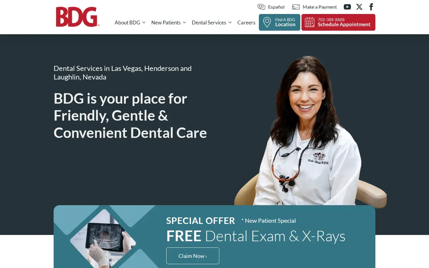Homepage preview of Brighton Dental