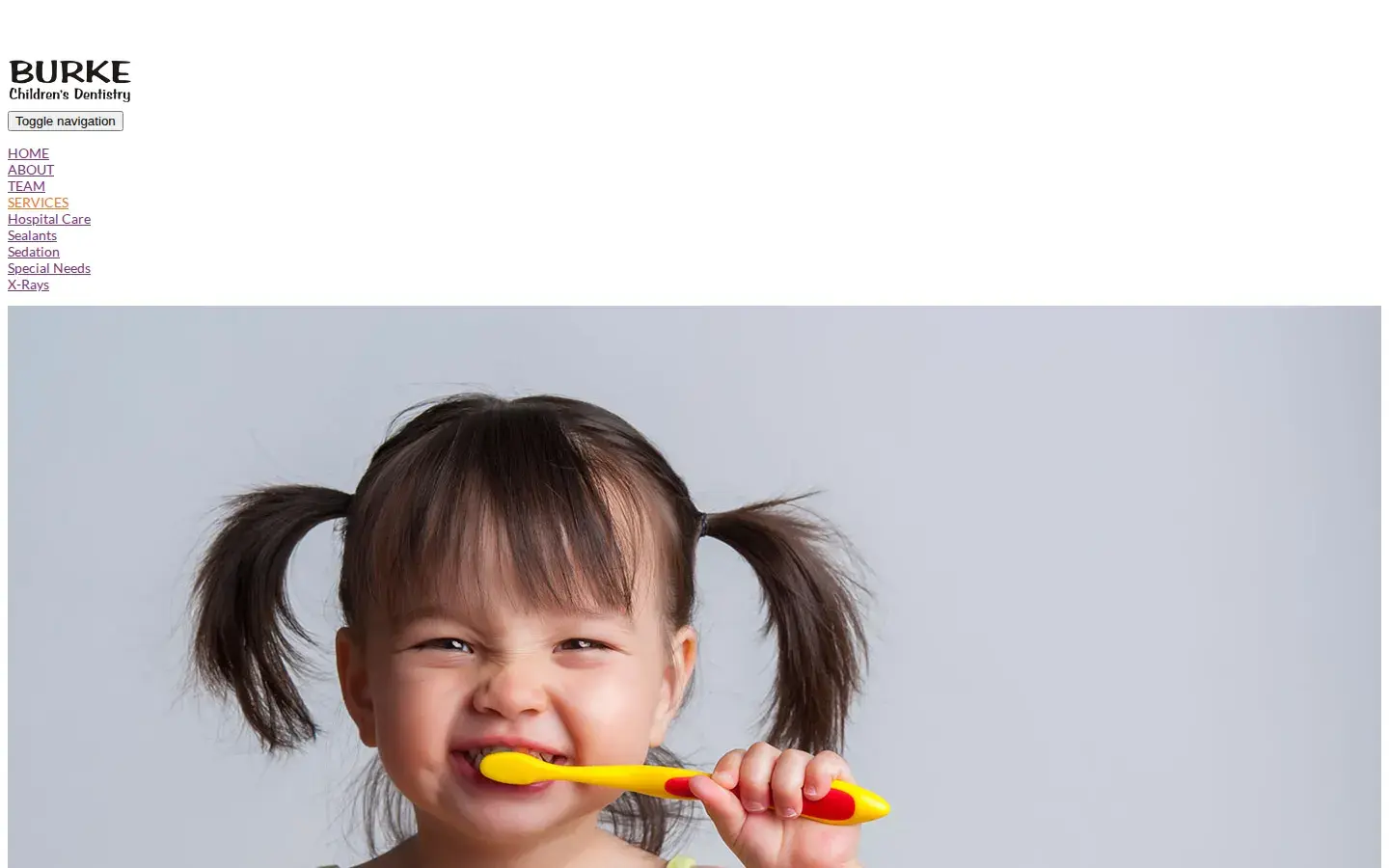 Homepage preview of Burke Children's Dentistry