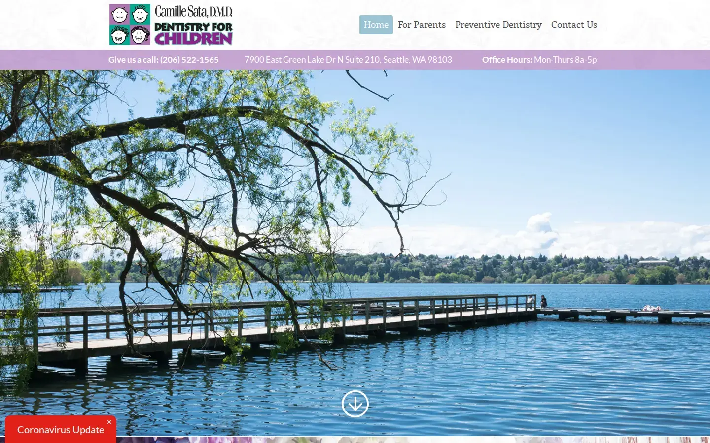 Homepage preview of Camille Sata, DMD - Dentistry for Children