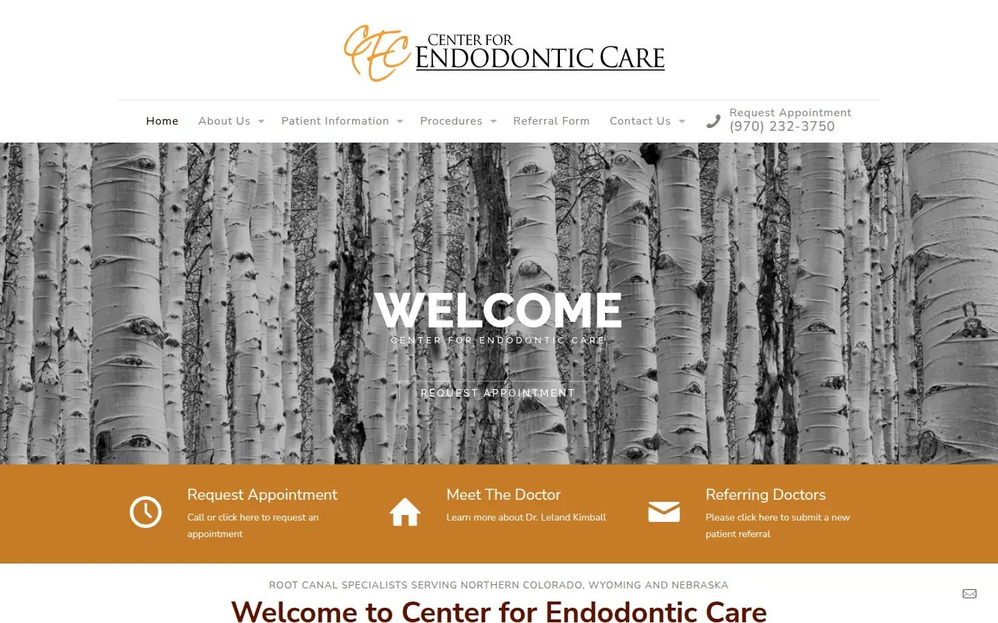 Homepage preview of Center for Endodontic Care: Leland B Kimball DDS