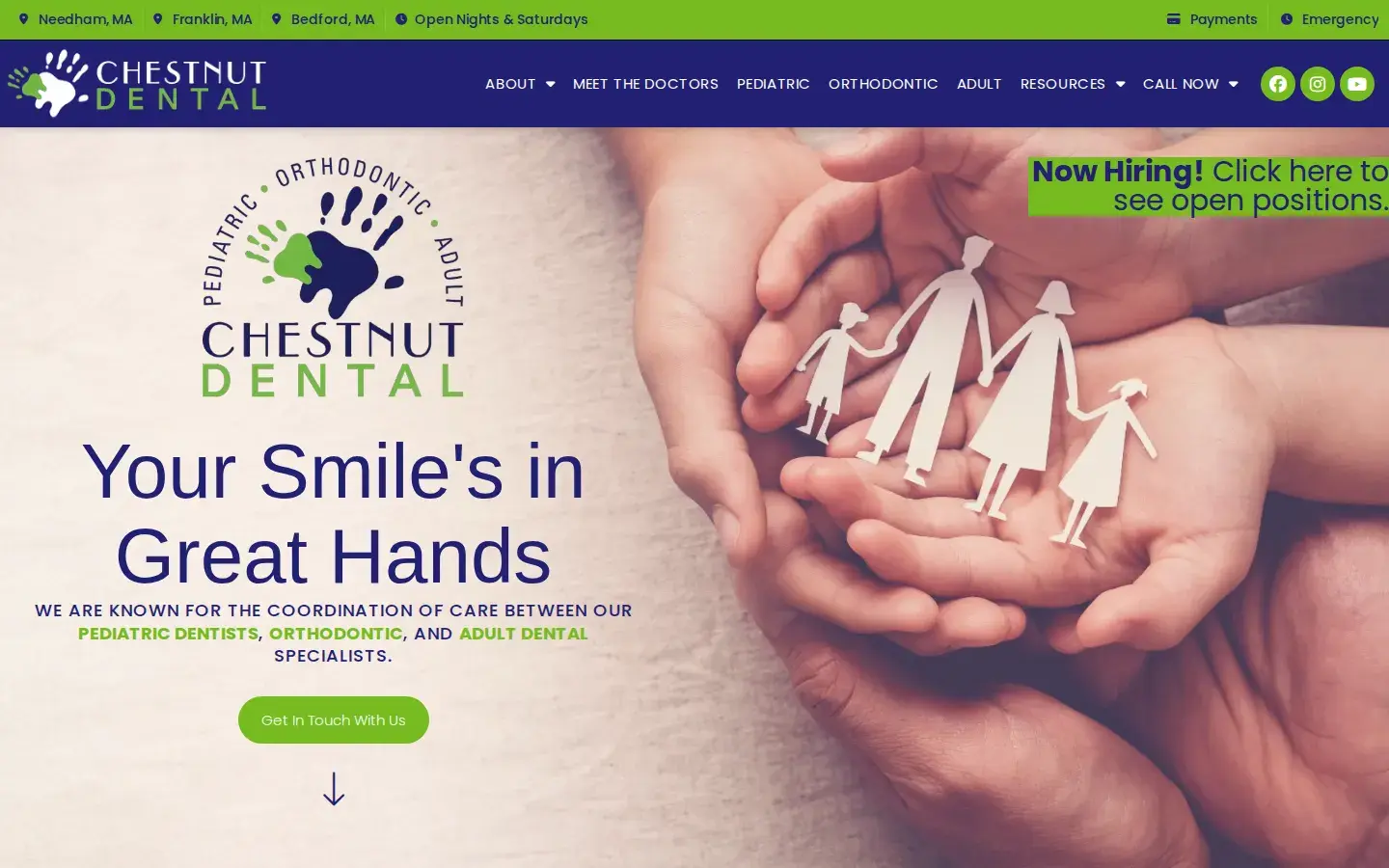 Homepage preview of Chestnut Dental