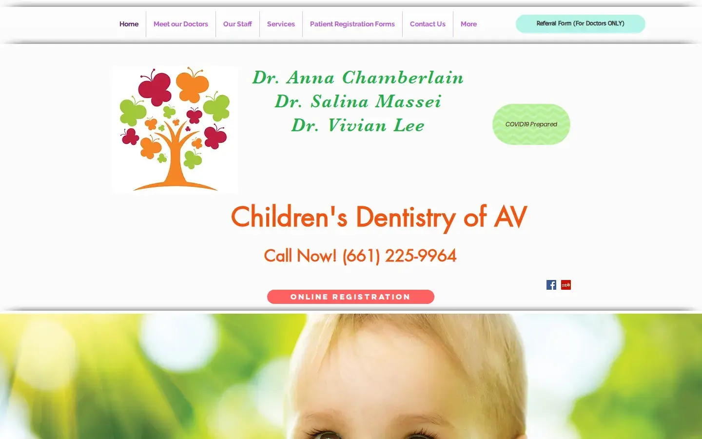 Homepage preview of Children’s Dentistry Of AV