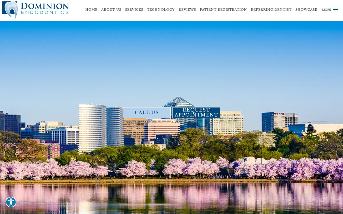 Homepage preview of Dominion Endodontics