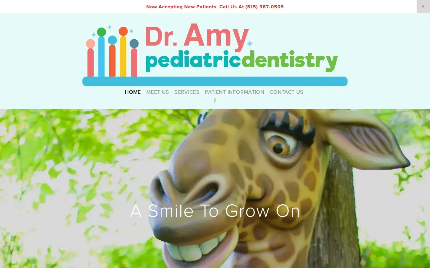 Homepage preview of Dr. Amy Pediatric Dentistry