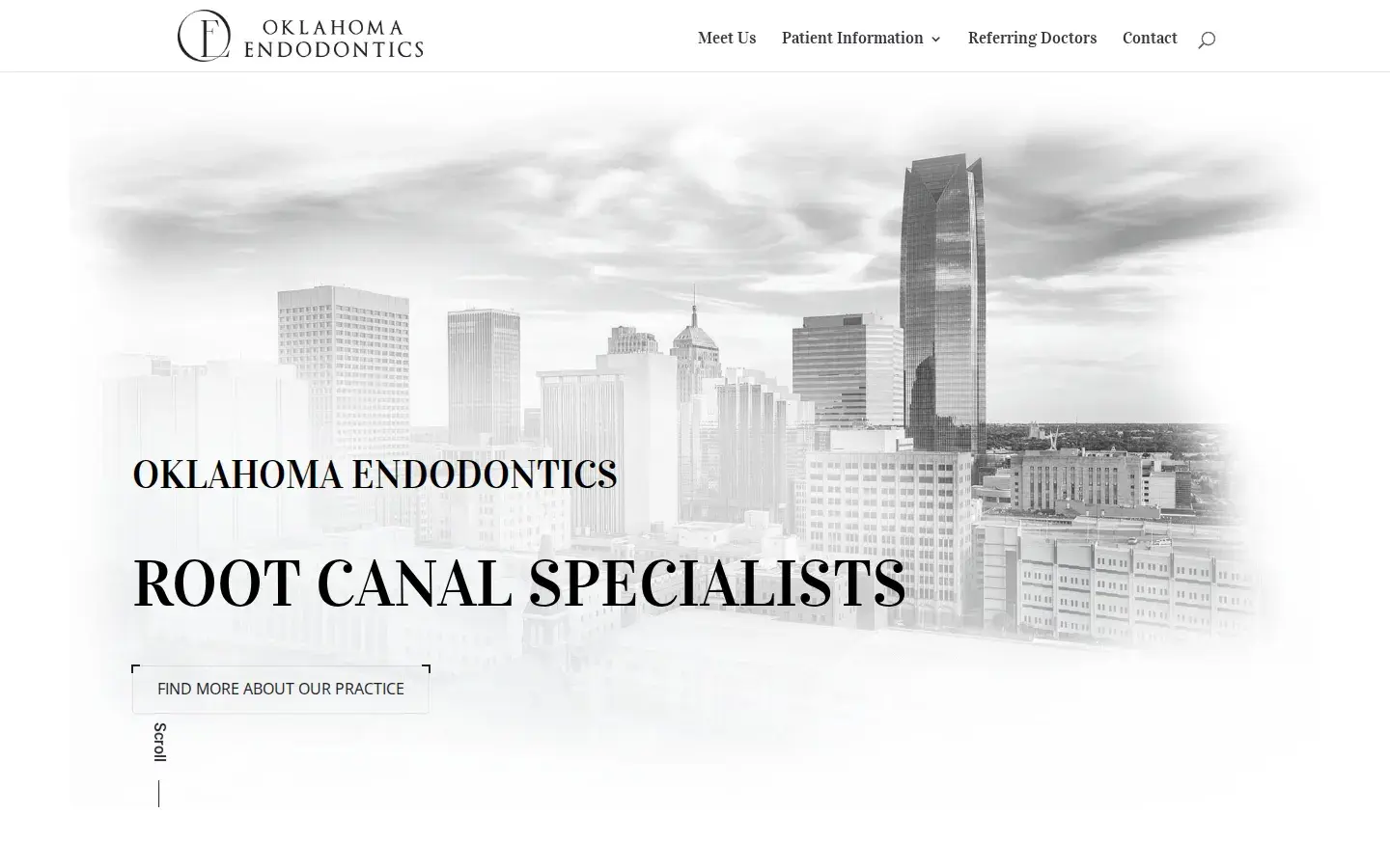 Homepage preview of Dr. Dennis A. Leseberg, DDS