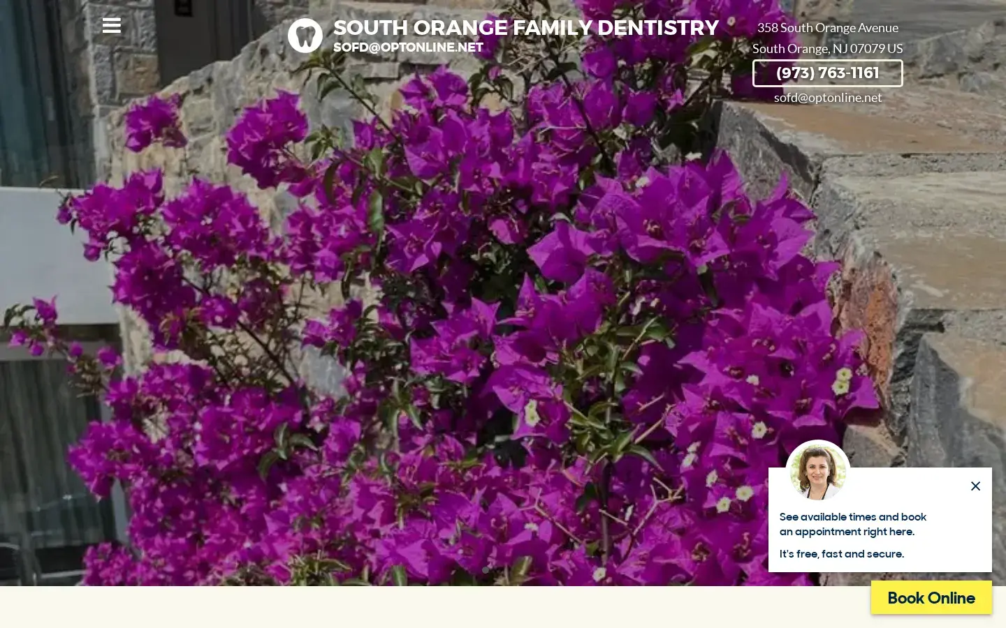 Homepage preview of Dr. Fariba Farrokhi, DMD