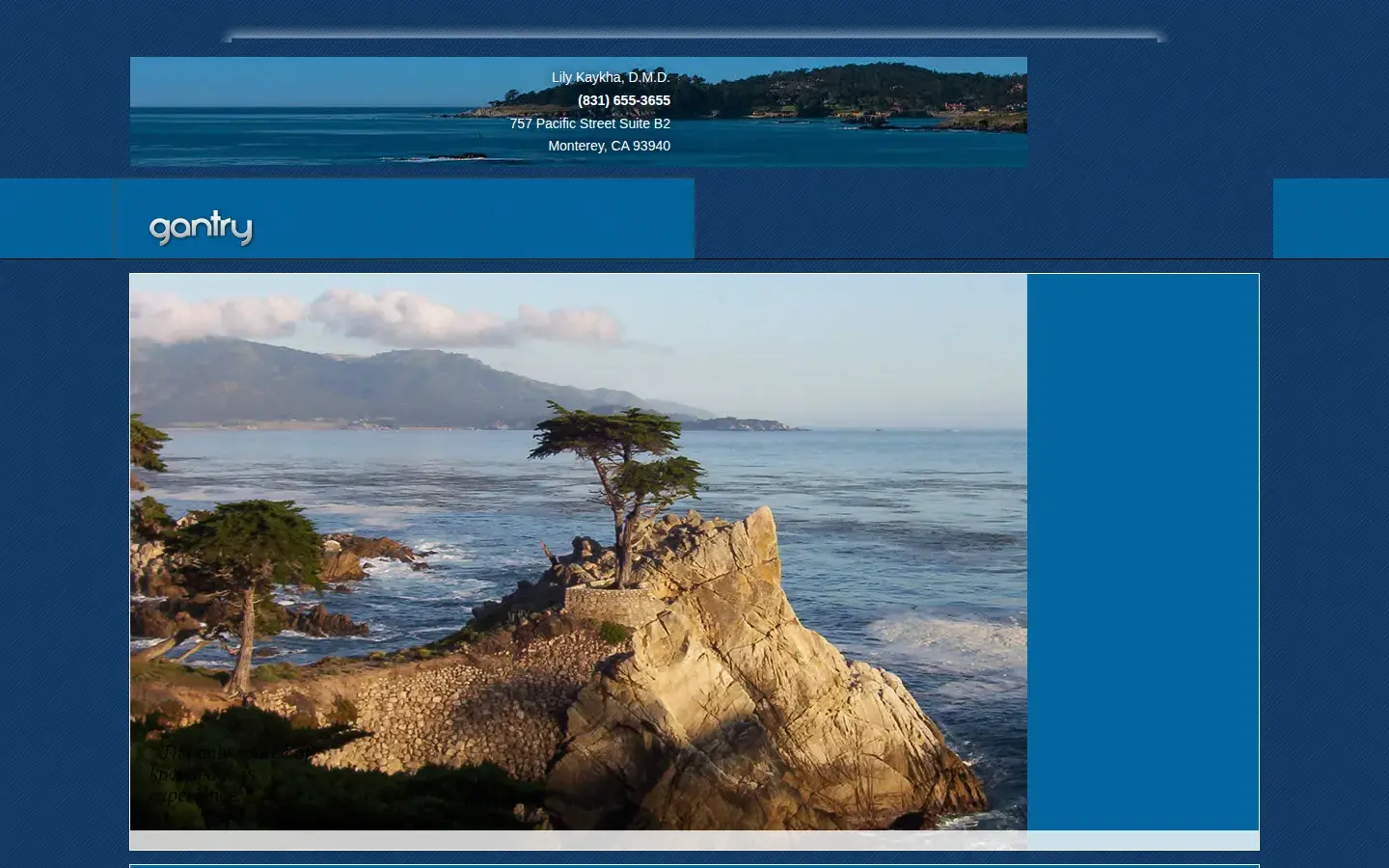 Homepage preview of Dr. Lily Kaykha, DMD