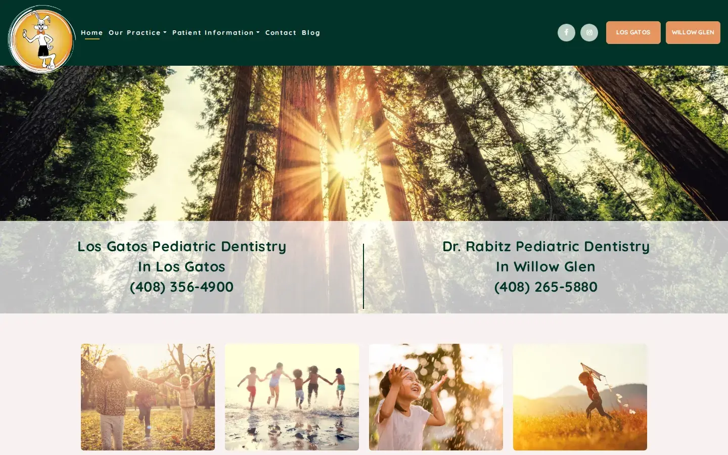 Homepage preview of Dr. Rabitz Pediatric Dentistry