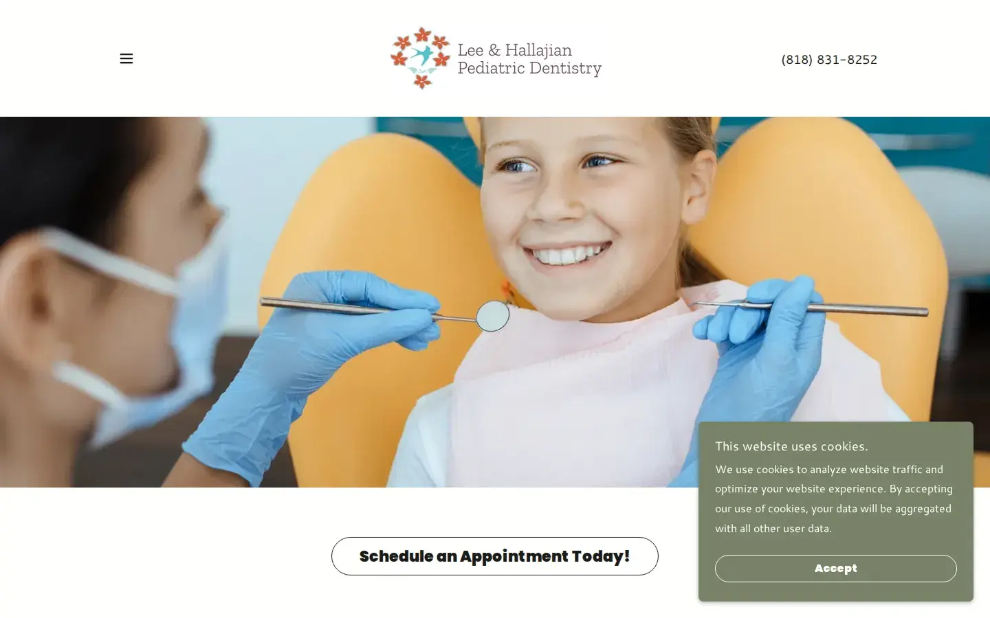 Homepage preview of Dr. Rebecca Lee, DDS