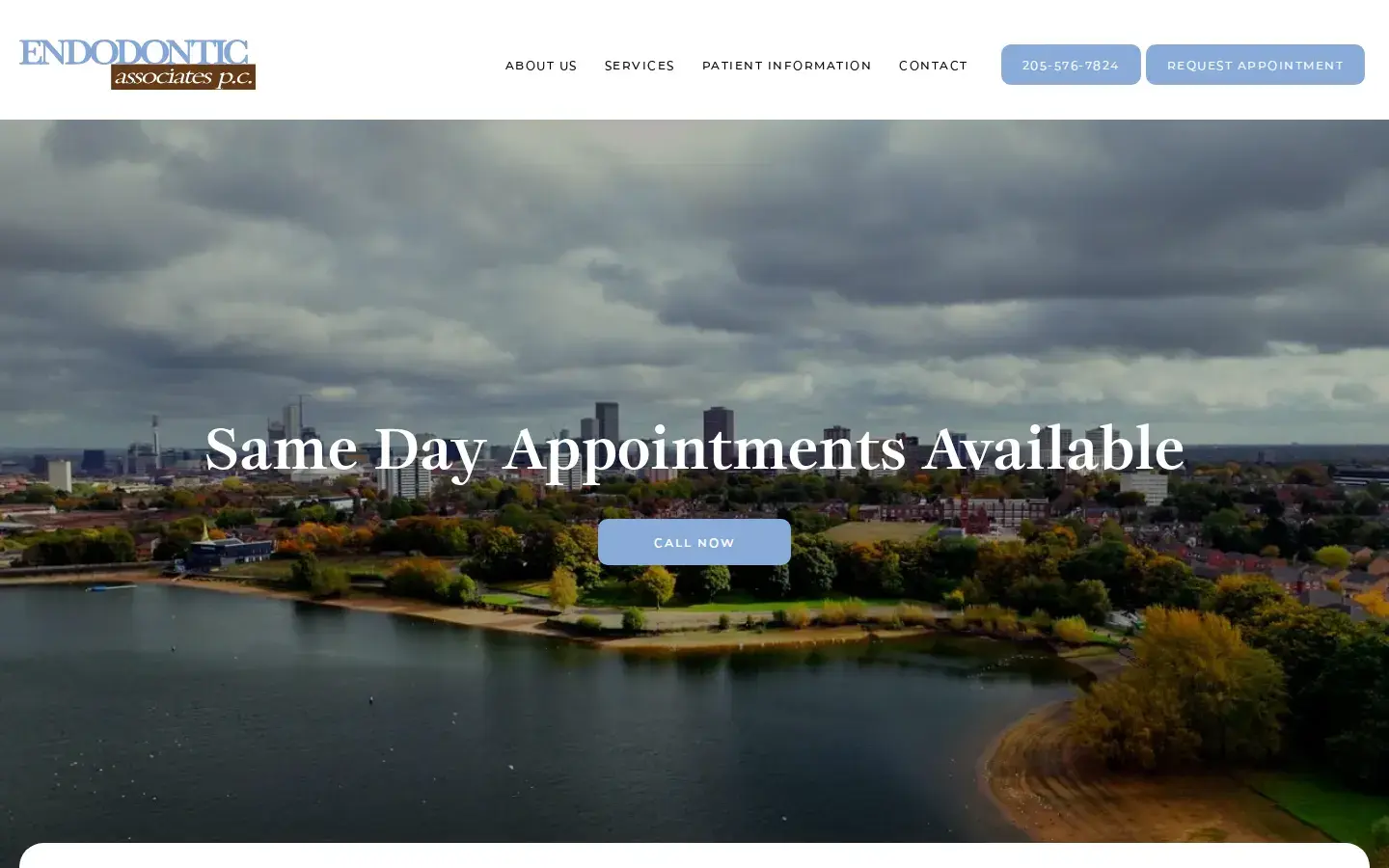Homepage preview of Endodontic Associates- Lee Branch