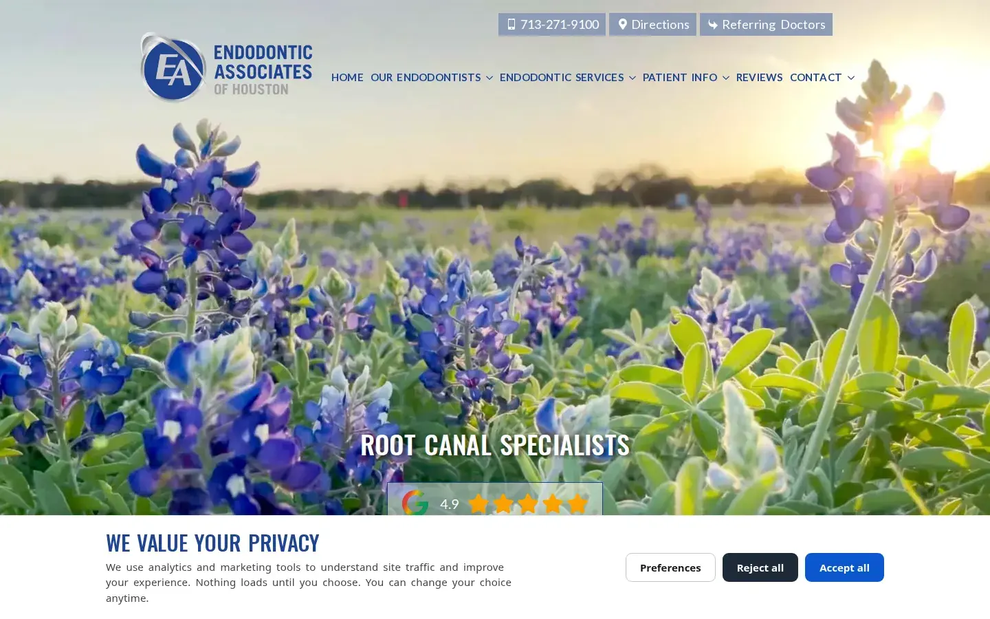 Homepage preview of Endodontic Associates of Houston