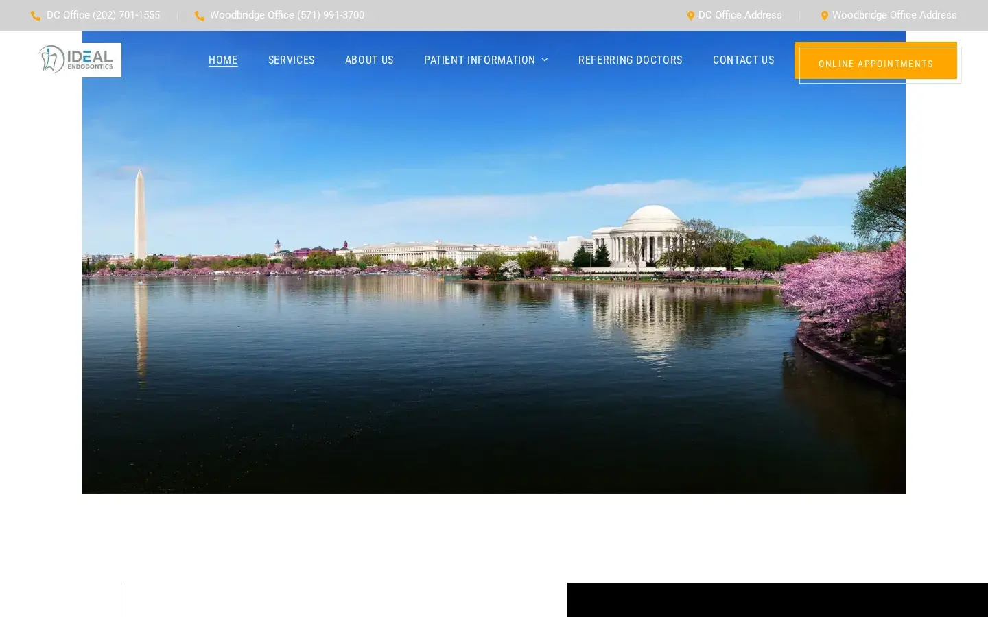 Homepage preview of Ideal Endodontics