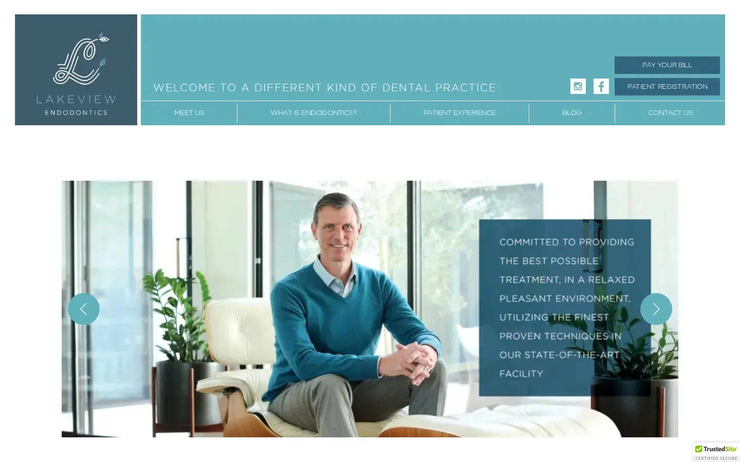 Homepage preview of Lakeview Endodontics