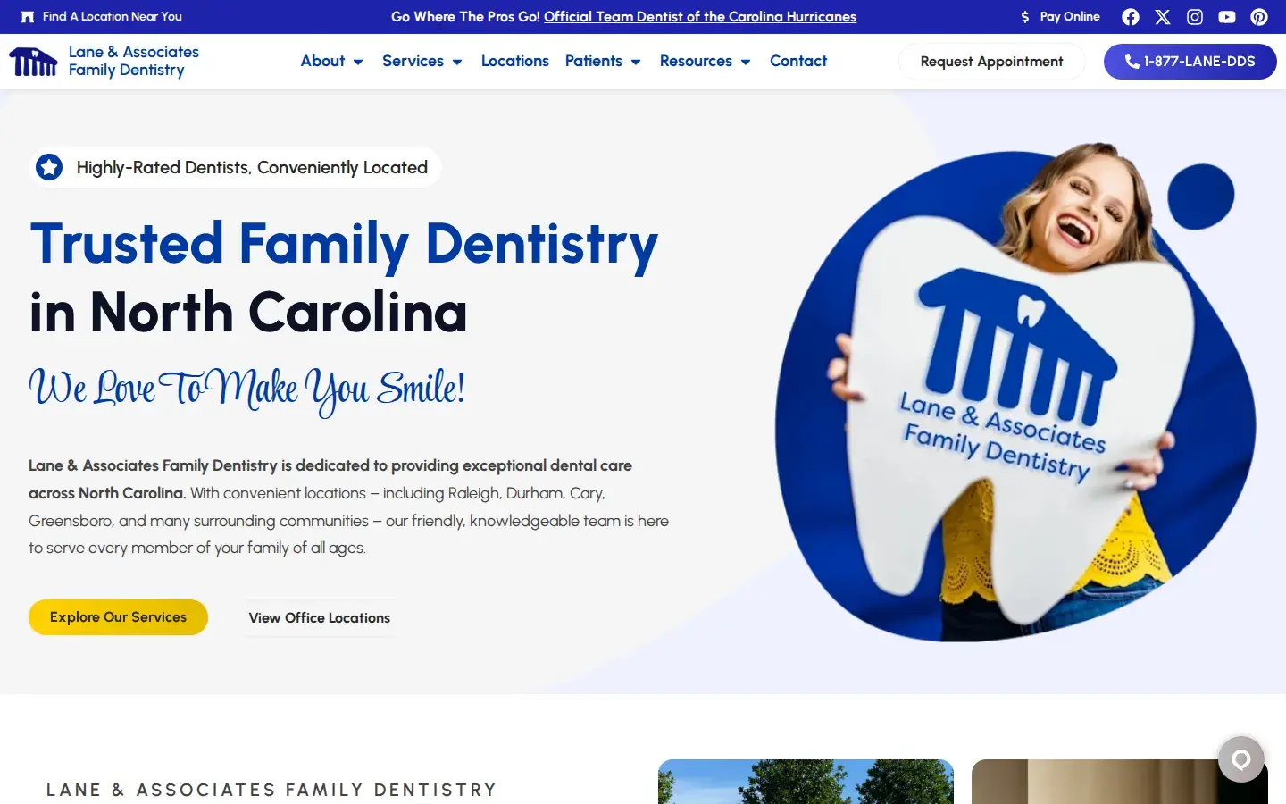 Homepage preview of Lane & Associates