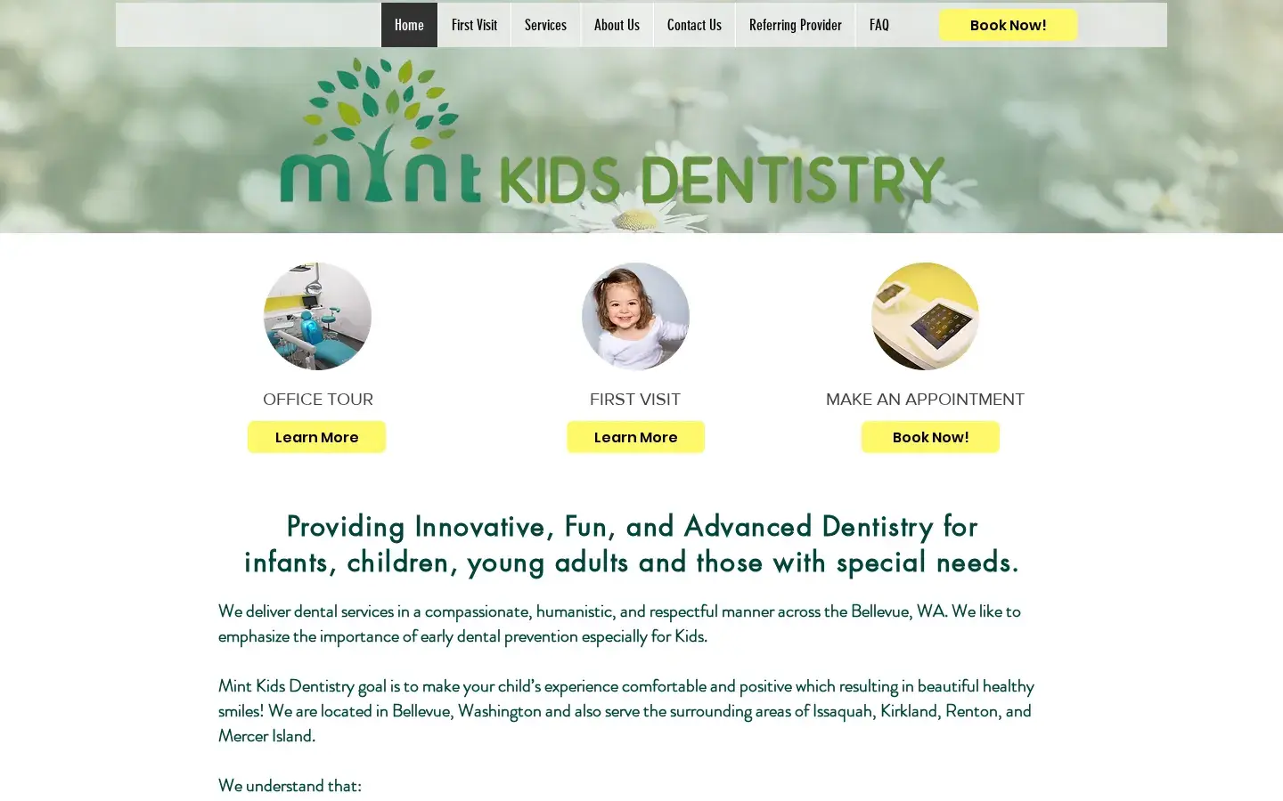 Homepage preview of Mint Kids Dentistry
