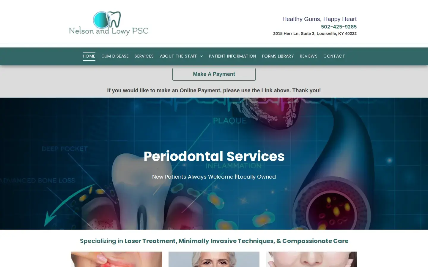 Homepage preview of Nelson & Lowy