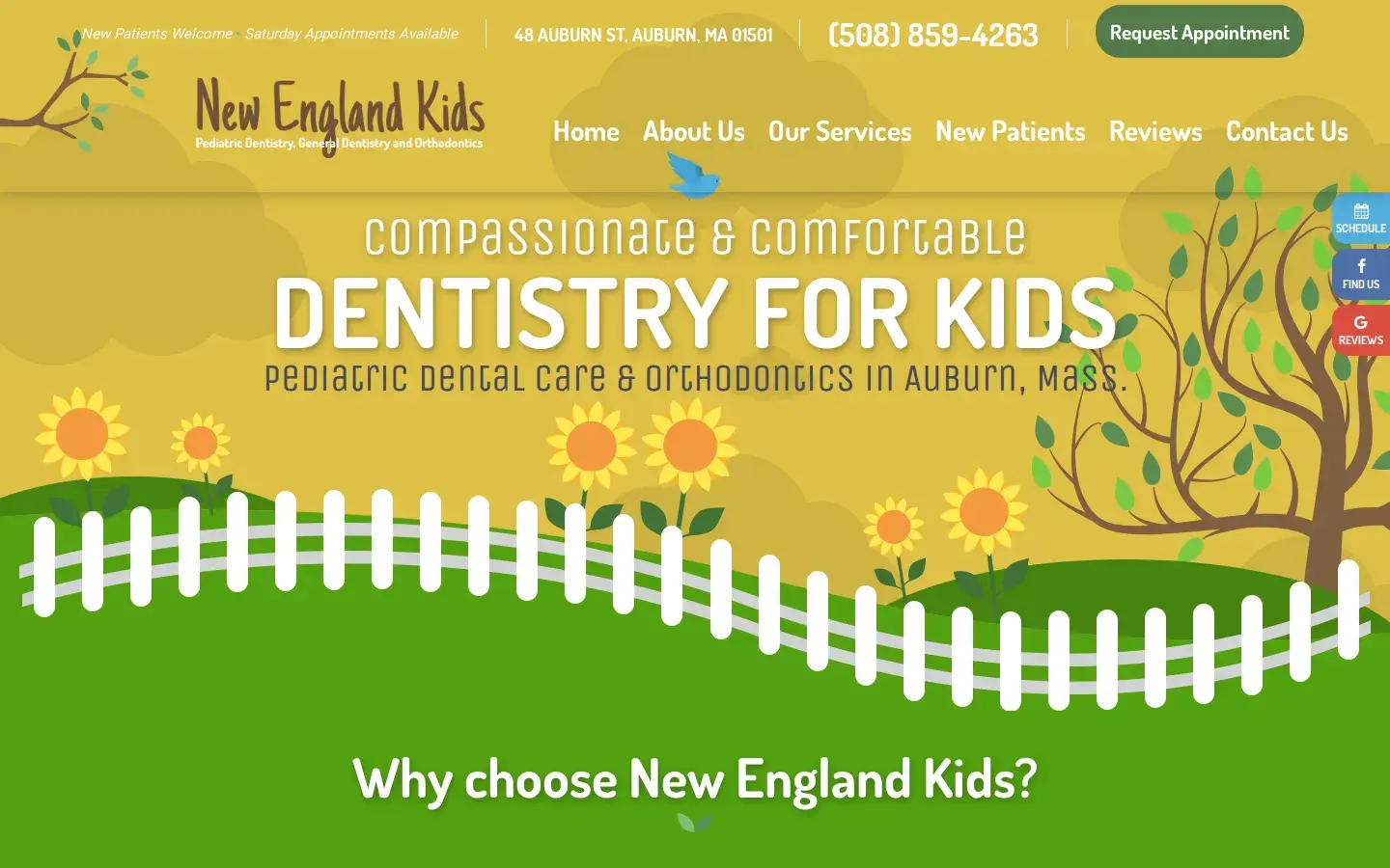 Homepage preview of New England Kids Pediatric Dentistry and Orthodontics