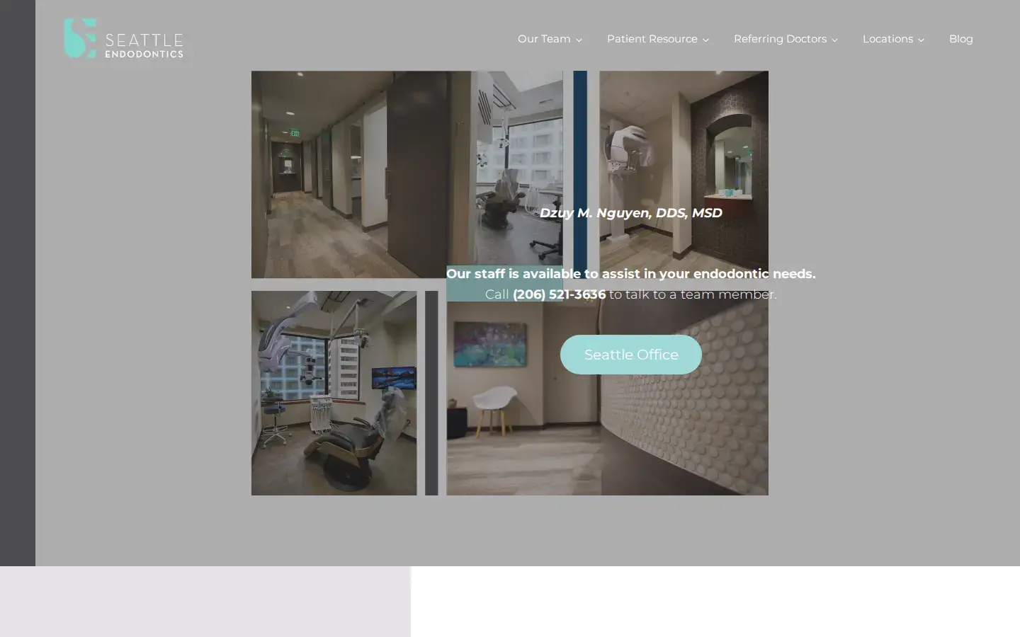Homepage preview of Nguyen Dzuy Manh DDS