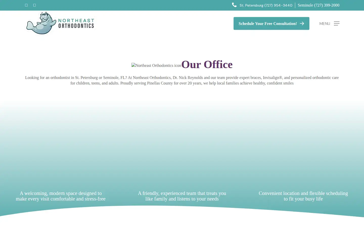 Homepage preview of Northeast Orthodontics