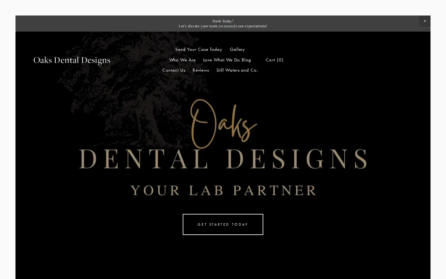 Homepage preview of Oaks Dental Designs