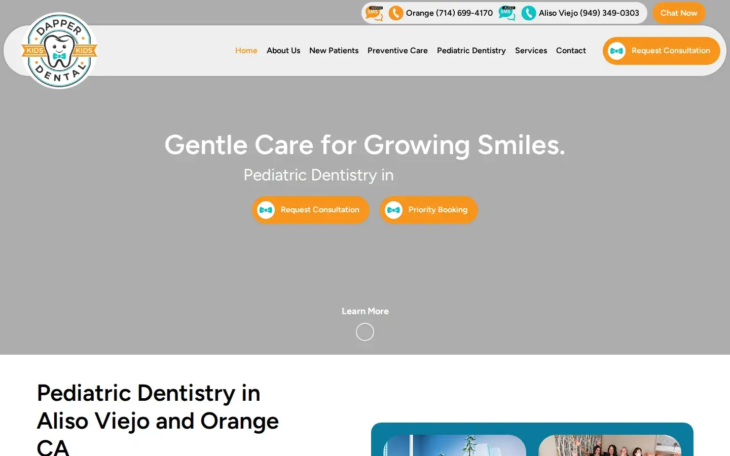 Homepage preview of Pediatric Dentist: Dr. Nidhi Taneja