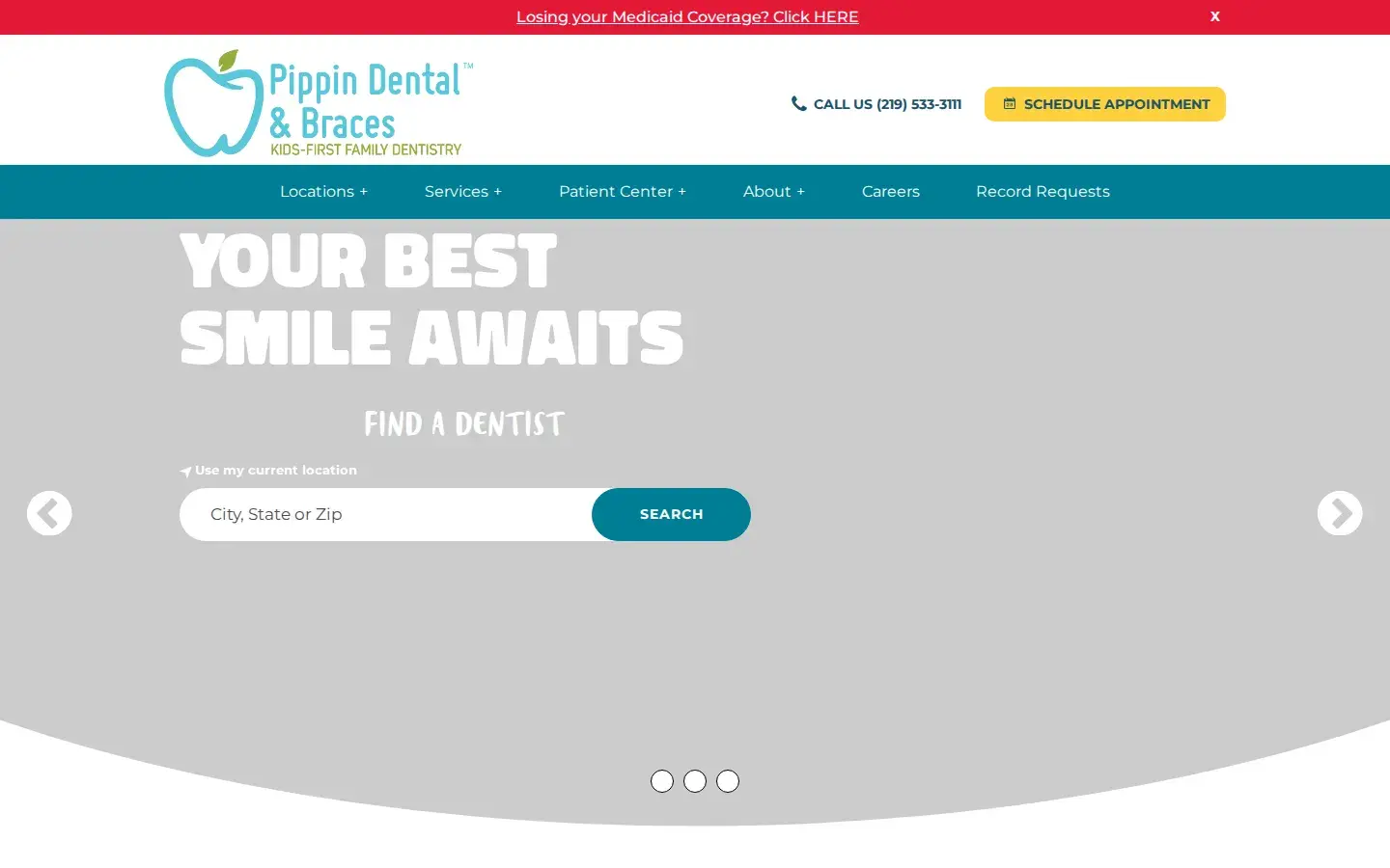 Homepage preview of Pippin Dental & Braces