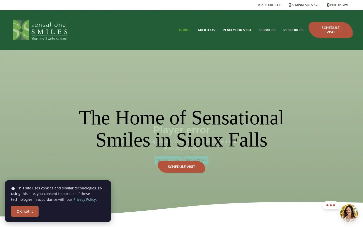 Homepage preview of Sensational Smiles
