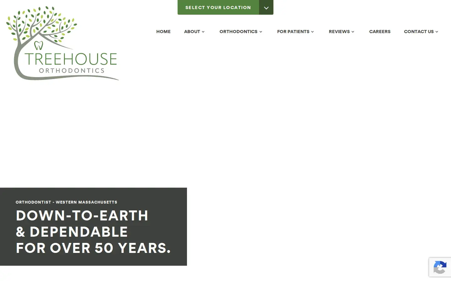 Homepage preview of Smith Smiles