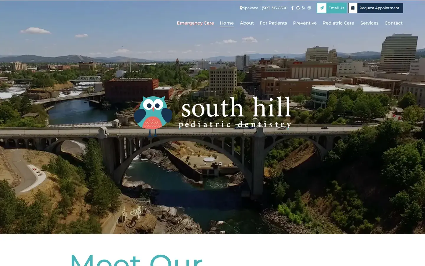 Homepage preview of South Hill Pediatric Dentistry
