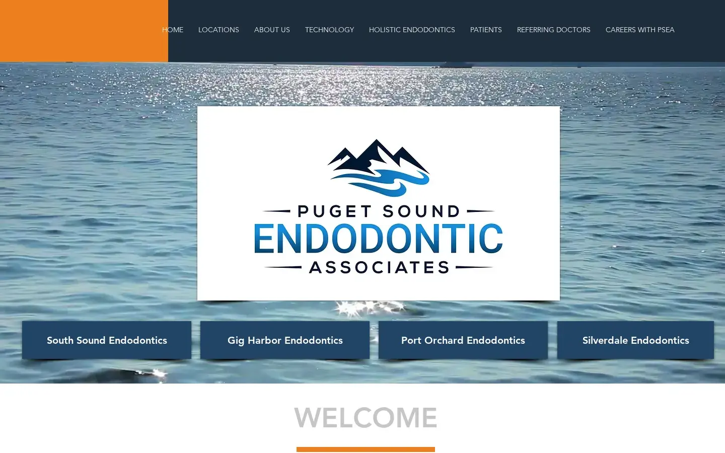Homepage preview of South Sound Endodontics