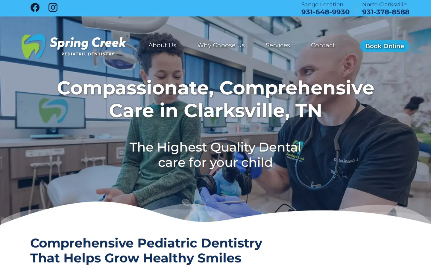Homepage preview of Spring Creek Pediatric Dentistry