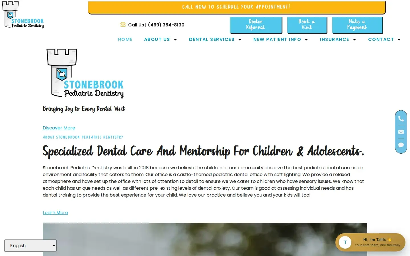 Homepage preview of Stonebrook Pediatric Dentistry