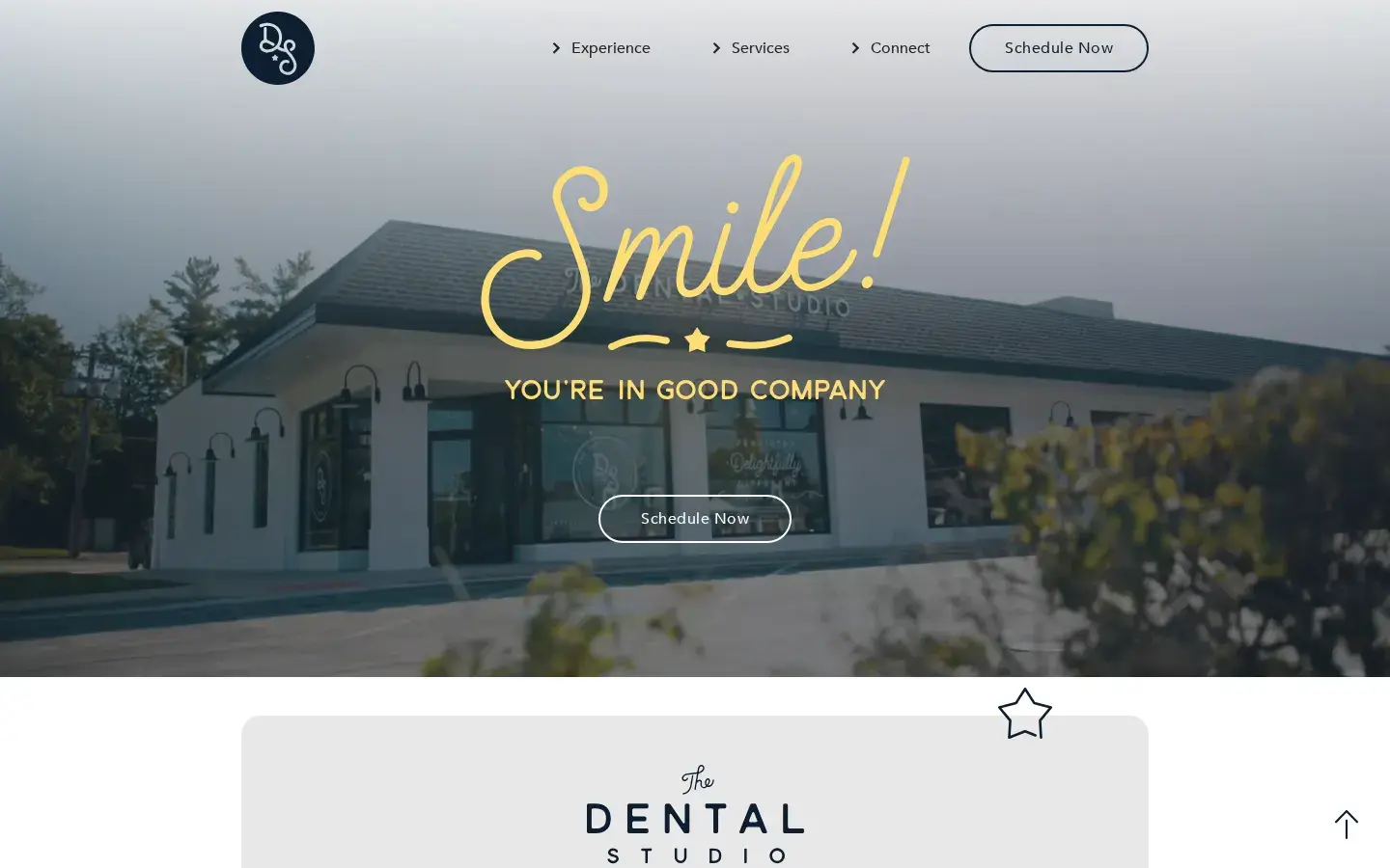Homepage preview of The Dental Studio