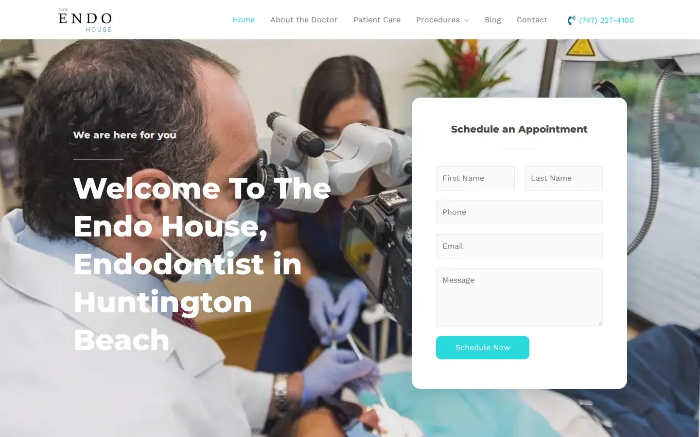 Homepage preview of The Endo House