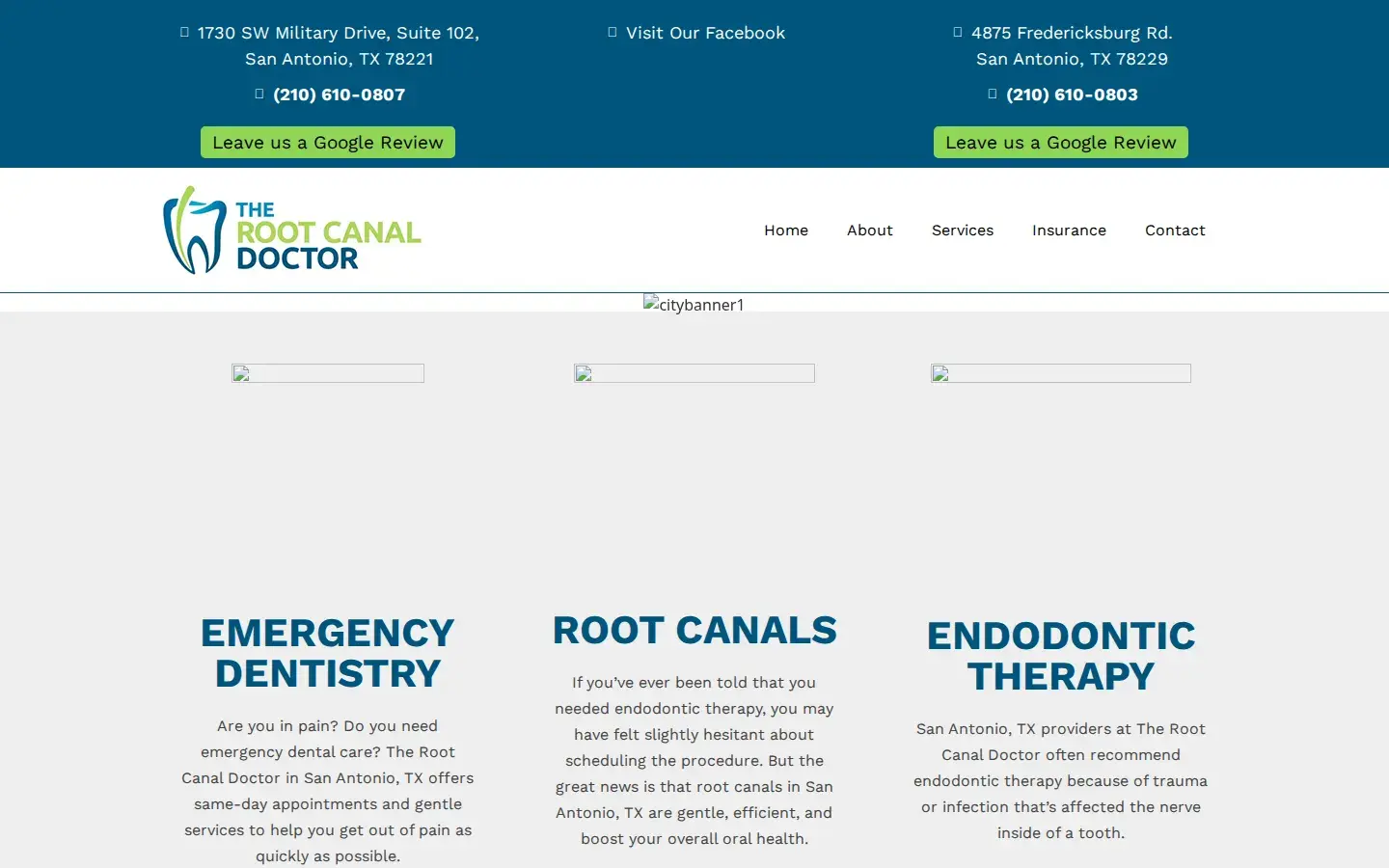 Homepage preview of The Root Canal Doctor